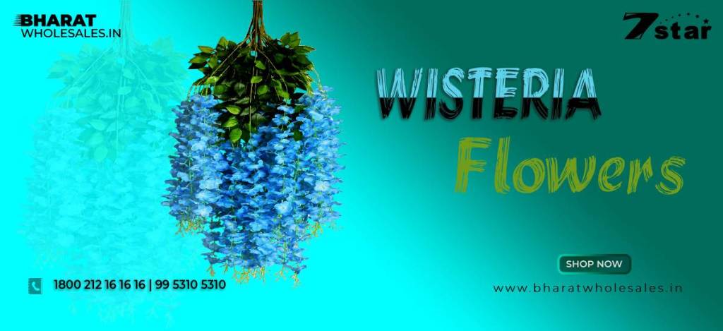 Wisteria Flowers